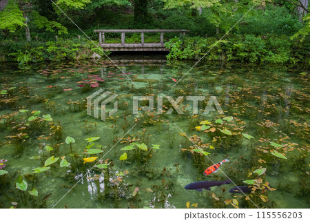 Nameless Pond (also known as Monet's Pond) (Itadori, Seki City, Gifu Prefecture) 115556203