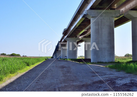 基諾利根川大橋正在進行四車道建設 基諾利根川大橋正在進行四車道建設 115556262