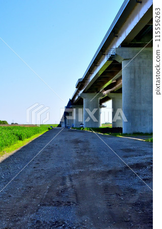 基諾利根川大橋正在進行四車道建設 基諾利根川大橋正在進行四車道建設 115556263