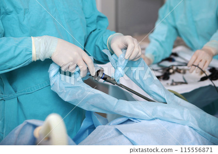 Laparoscopic instruments in the hands of a surgeon. Laparoscopic surgery. Surgery through small holes in the abdominal cavity. Modern surgery. 115556871