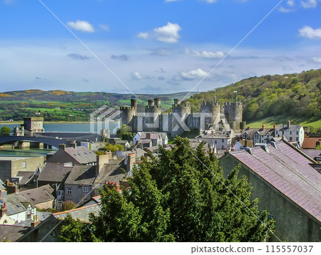 Conwy castle, Wales 115557037