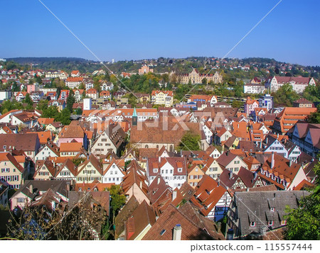 View of Tubingen, Germany 115557444
