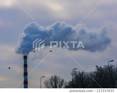 Smoke from the city heating plant. Smoke from the city heating plant. 115557635