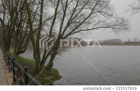 River bank with leafless trees in gloomy autumn weather. 115557919