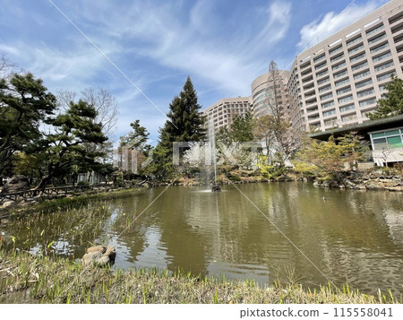有池塘的公園 115558041