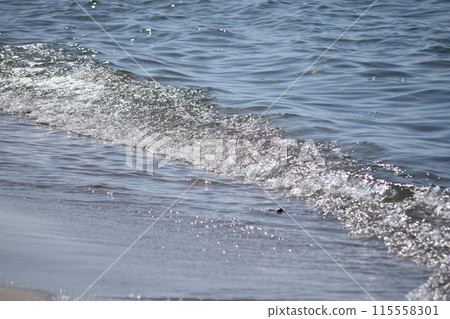 浪潮在沙灘上擊敗 浪潮在沙灘上擊敗 115558301