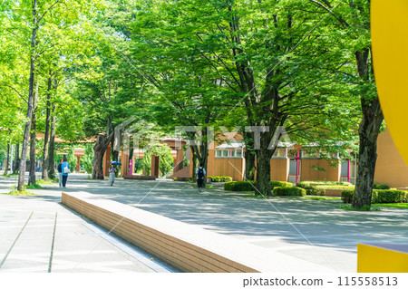 森林中的東京外國語大學府中校區 森林中的東京外國語大學府中校區 115558513