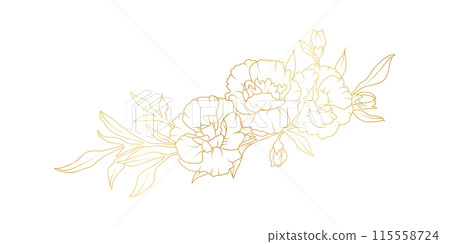 Golden carnation flowers line art isolated on white background. Luxury floral design elements for invitation, wedding, wallpaper, print template, vector illustration 115558724