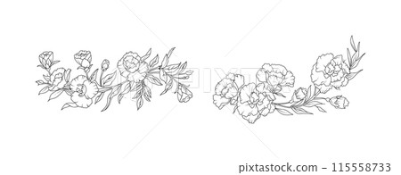 Carnation flower arrangement line art on white background. Silhouette botanical hand drawn element for wedding, invitation frame design, vector illustration 115558733