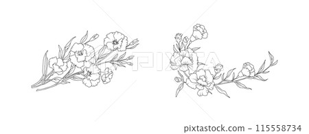Carnation flower arrangement line art on white background. Silhouette botanical hand drawn element for wedding, invitation frame design, vector illustration 115558734