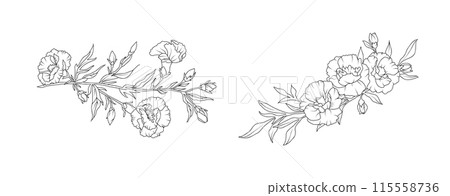 Carnation flower arrangement line art on white background. Silhouette botanical hand drawn element for wedding, invitation frame design, vector illustration 115558736