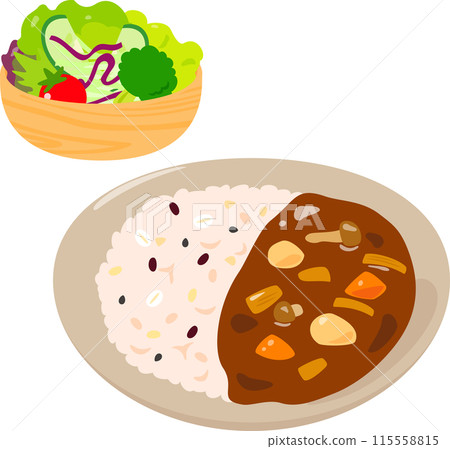 Multigrain rice curry and salad 115558815