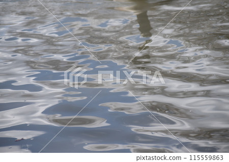 漂浮在水面上 漂浮在水面上 115559863