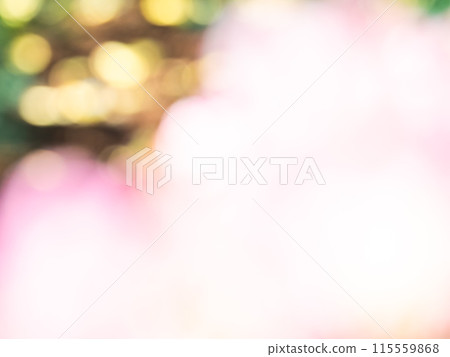 背景材質：圓點的反射，色彩繽紛，明亮的春天影像，如花田。 115559868