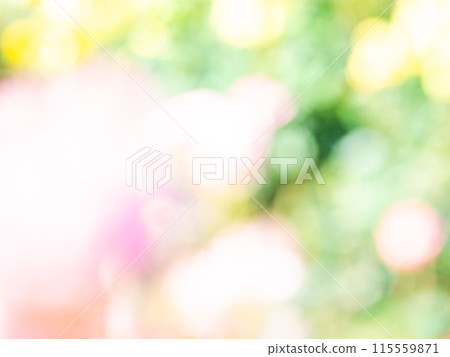 背景材質:圓點的反射,色彩繽紛,明亮的春天影像,如花田。 背景材質:圓點的反射,色彩繽紛,明亮的春天影像,如花田。 115559871