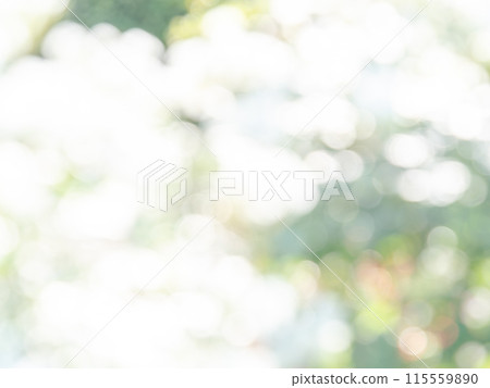 Background material: Reflection of polka dots. A colorful and bright spring image like a flower field. Background material: Reflection of polka dots. A colorful and bright spring image like a flower field. 115559890