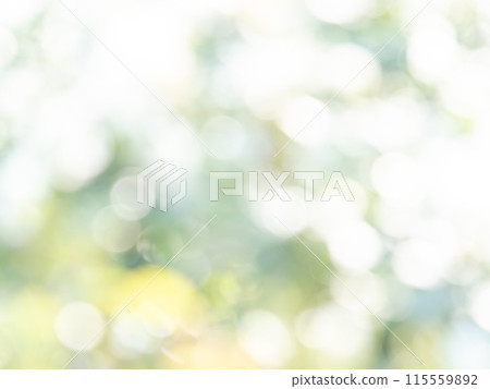 背景材質：圓點的反射，色彩繽紛，明亮的春天影像，如花田。 115559892