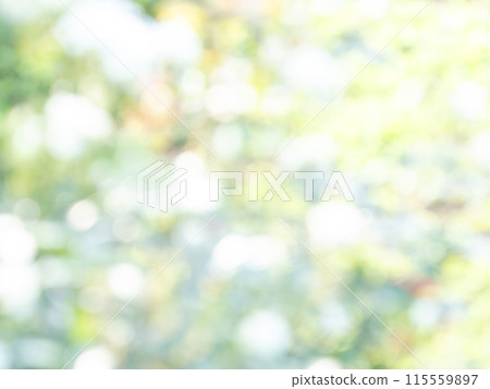 背景材質：圓點的反射，色彩繽紛，明亮的春天影像，如花田。 115559897