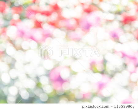背景材質：圓點的反射，色彩繽紛，明亮的春天影像，如花田。 115559903