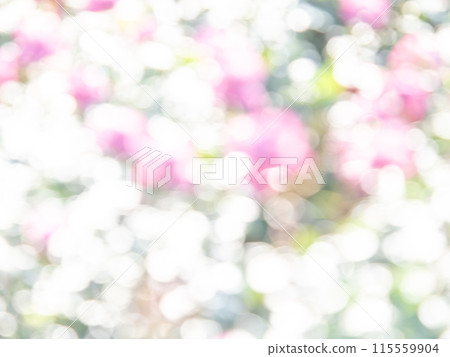背景材質：圓點的反射，色彩繽紛，明亮的春天影像，如花田。 115559904