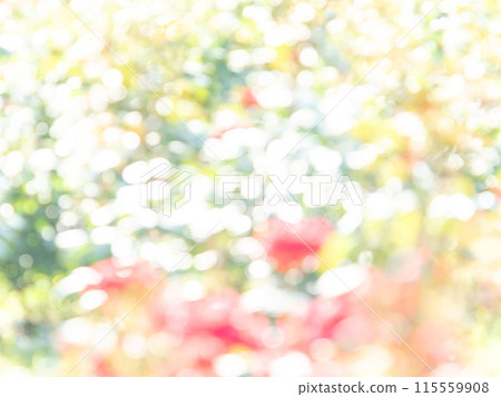 Background material: Reflection of polka dots. A colorful and bright spring image like a flower field. Background material: Reflection of polka dots. A colorful and bright spring image like a flower field. 115559908