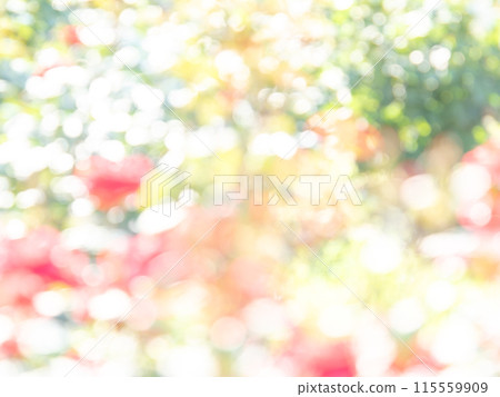 背景材質:圓點的反射,色彩繽紛,明亮的春天影像,如花田。 背景材質:圓點的反射,色彩繽紛,明亮的春天影像,如花田。 115559909