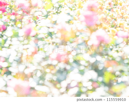 背景材質：圓點的反射，色彩繽紛，明亮的春天影像，如花田。 115559910