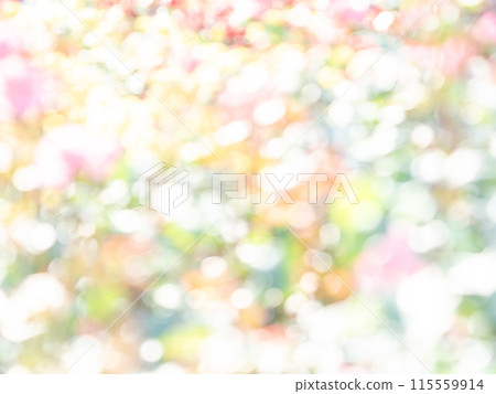 背景材質：圓點的反射，色彩繽紛，明亮的春天影像，如花田。 115559914