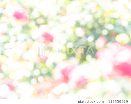 Background material: Reflection of polka dots. A colorful and bright spring image like a flower field. Background material: Reflection of polka dots. A colorful and bright spring image like a flower field. 115559919