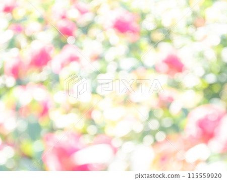Background material: Reflection of polka dots. A colorful and bright spring image like a flower field. Background material: Reflection of polka dots. A colorful and bright spring image like a flower field. 115559920