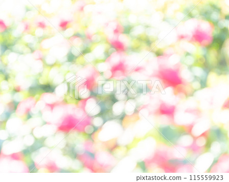 背景材質：圓點的反射，色彩繽紛，明亮的春天影像，如花田。 115559923