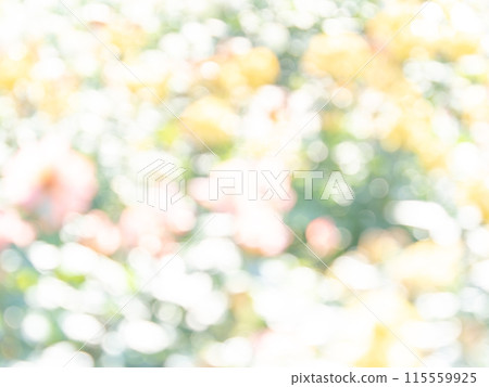 Background material: Reflection of polka dots. A colorful and bright spring image like a flower field. 115559925