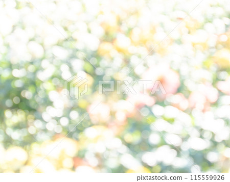 Background material: Reflection of polka dots. A colorful and bright spring image like a flower field. 115559926