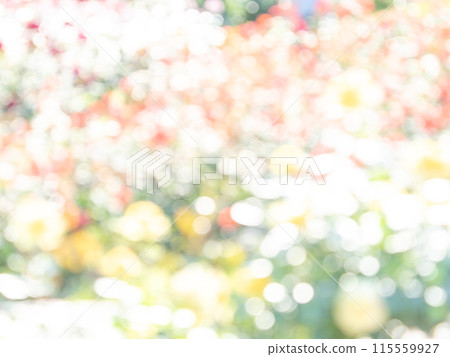 Background material: Reflection of polka dots. A colorful and bright spring image like a flower field. 115559927