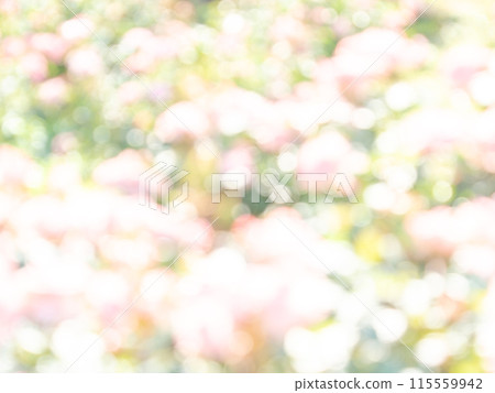 Background material: Reflection of polka dots. A colorful and bright spring image like a flower field. Background material: Reflection of polka dots. A colorful and bright spring image like a flower field. 115559942