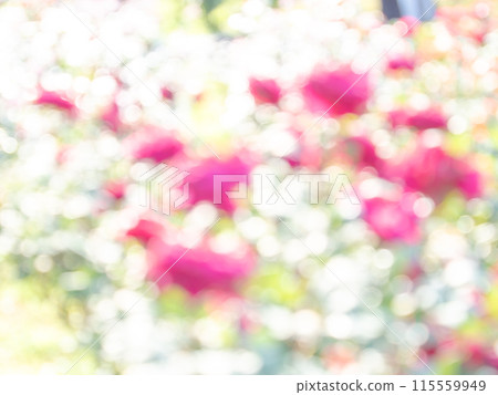 Background material: Reflection of polka dots. A colorful and bright spring image like a flower field. Background material: Reflection of polka dots. A colorful and bright spring image like a flower field. 115559949