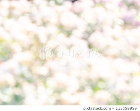 背景材質:圓點的反射,色彩繽紛,明亮的春天影像,如花田。 背景材質:圓點的反射,色彩繽紛,明亮的春天影像,如花田。 115559959