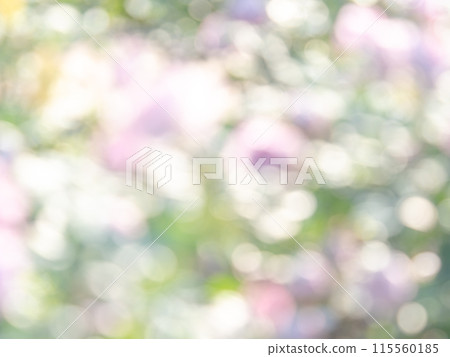 背景材質:圓點的反射,色彩繽紛,明亮的春天影像,如花田。 背景材質:圓點的反射,色彩繽紛,明亮的春天影像,如花田。 115560185