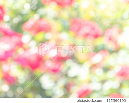 背景材質：圓點的反射，色彩繽紛，明亮的春天影像，如花田。 115560193