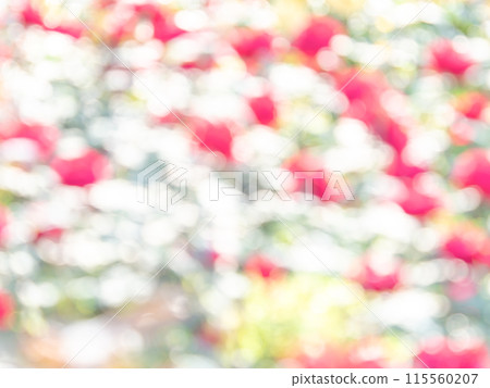 Background material: Reflection of polka dots. A colorful and bright spring image like a flower field. Background material: Reflection of polka dots. A colorful and bright spring image like a flower field. 115560207