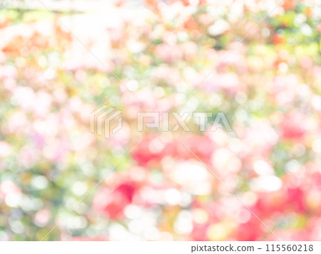 背景材質：圓點的反射，色彩繽紛，明亮的春天影像，如花田。 115560218