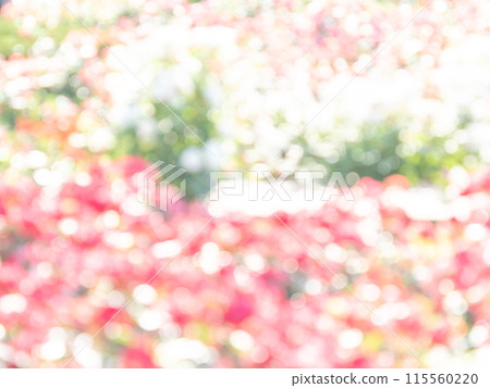 背景材質:圓點的反射,色彩繽紛,明亮的春天影像,如花田。 背景材質:圓點的反射,色彩繽紛,明亮的春天影像,如花田。 115560220