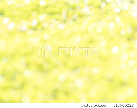 背景材質：圓點的反射，色彩繽紛，明亮的春天影像，如花田。 115560228