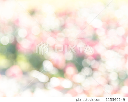 背景材質：圓點的反射，色彩繽紛，明亮的春天影像，如花田。 115560249