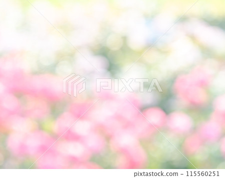 背景材質：圓點的反射，色彩繽紛，明亮的春天影像，如花田。 115560251