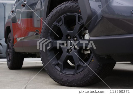 輪胎圖片 SUV輪胎 115560271