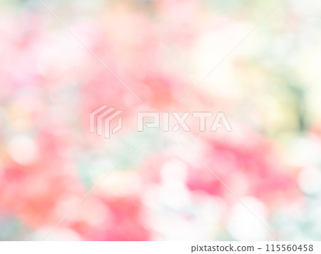 Background material: Reflection of polka dots. A colorful and bright spring image like a flower field. Background material: Reflection of polka dots. A colorful and bright spring image like a flower field. 115560458