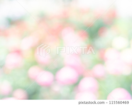 背景材質：圓點的反射，色彩繽紛，明亮的春天影像，如花田。 115560469