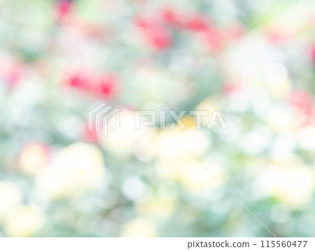 背景材質:圓點的反射,色彩繽紛,明亮的春天影像,如花田。 背景材質:圓點的反射,色彩繽紛,明亮的春天影像,如花田。 115560477