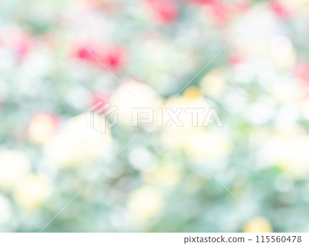 背景材質：圓點的反射，色彩繽紛，明亮的春天影像，如花田。 115560478